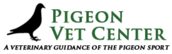 Logo Pigeon Vet Center